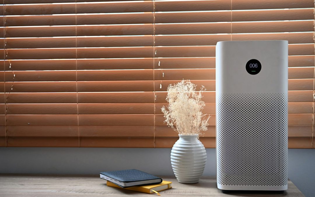2024: The Year the Air Purifier Became a Household Necessity