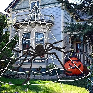 A spider in a web in front of a house

Description automatically generated